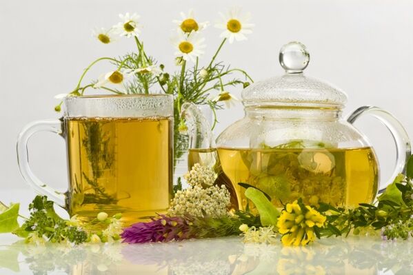 decoct de plante ca antibiotic natural pentru prostatita